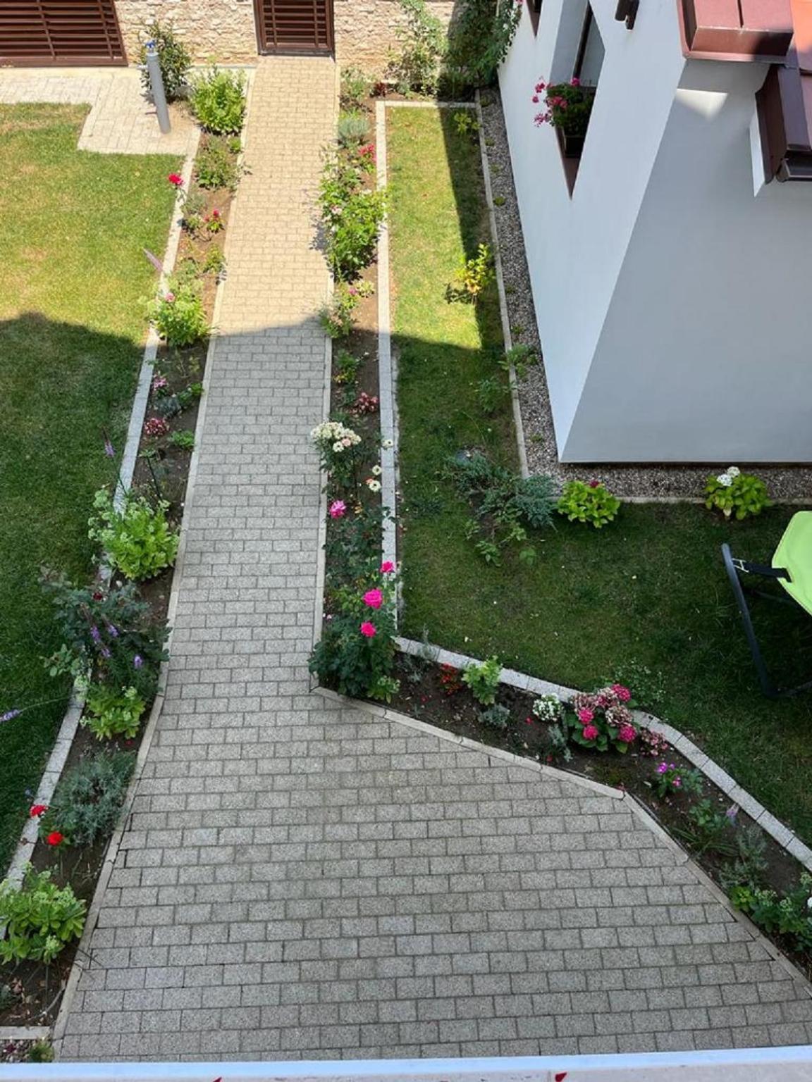 Trend Bed and Breakfast Arad Exteriör bild